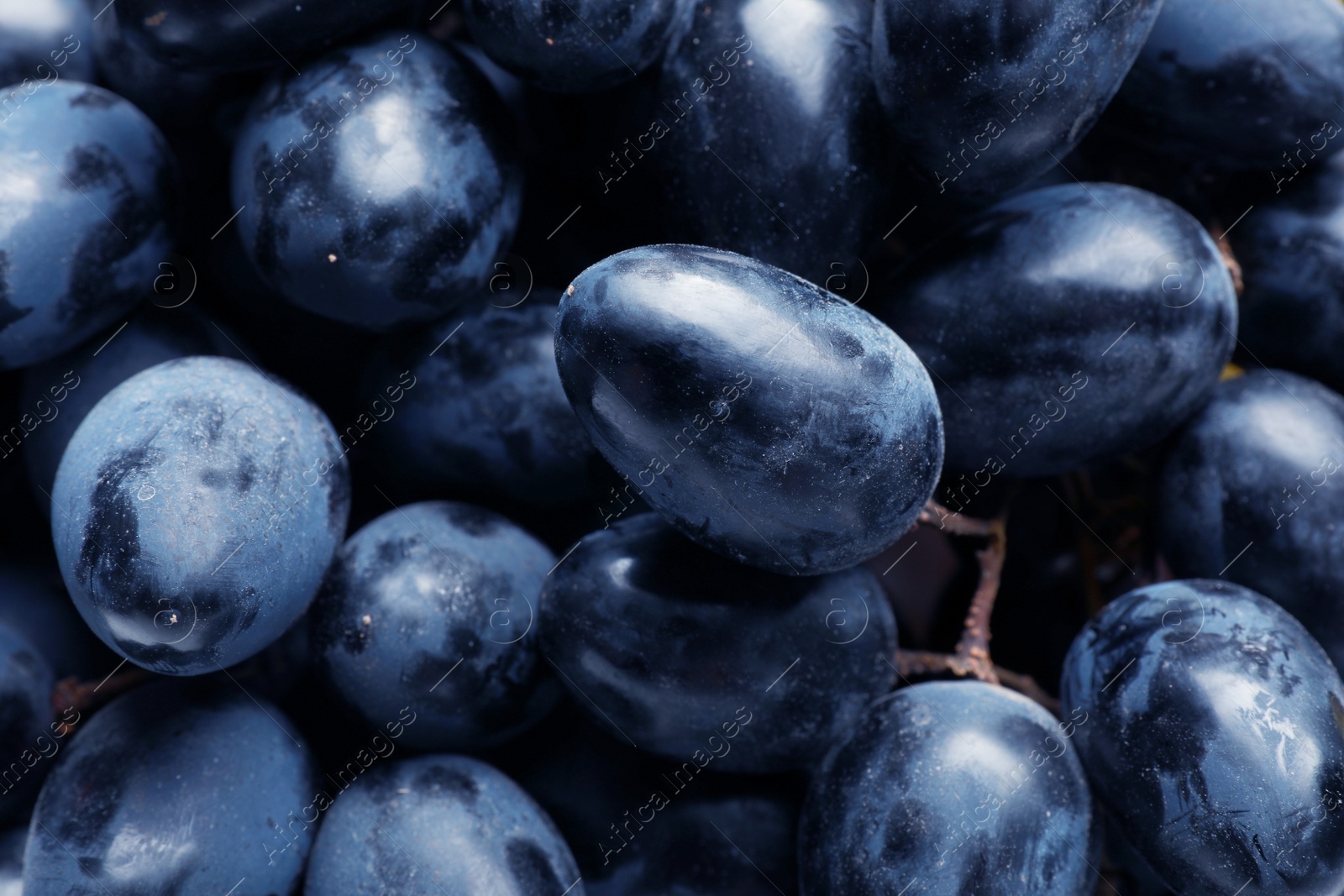 Photo of Fresh ripe juicy grapes as background, closeup