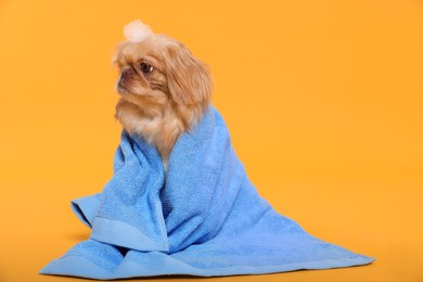 Photo of Cute Pekingese dog with towel and shampoo bubbles on yellow background, space for text. Pet hygiene