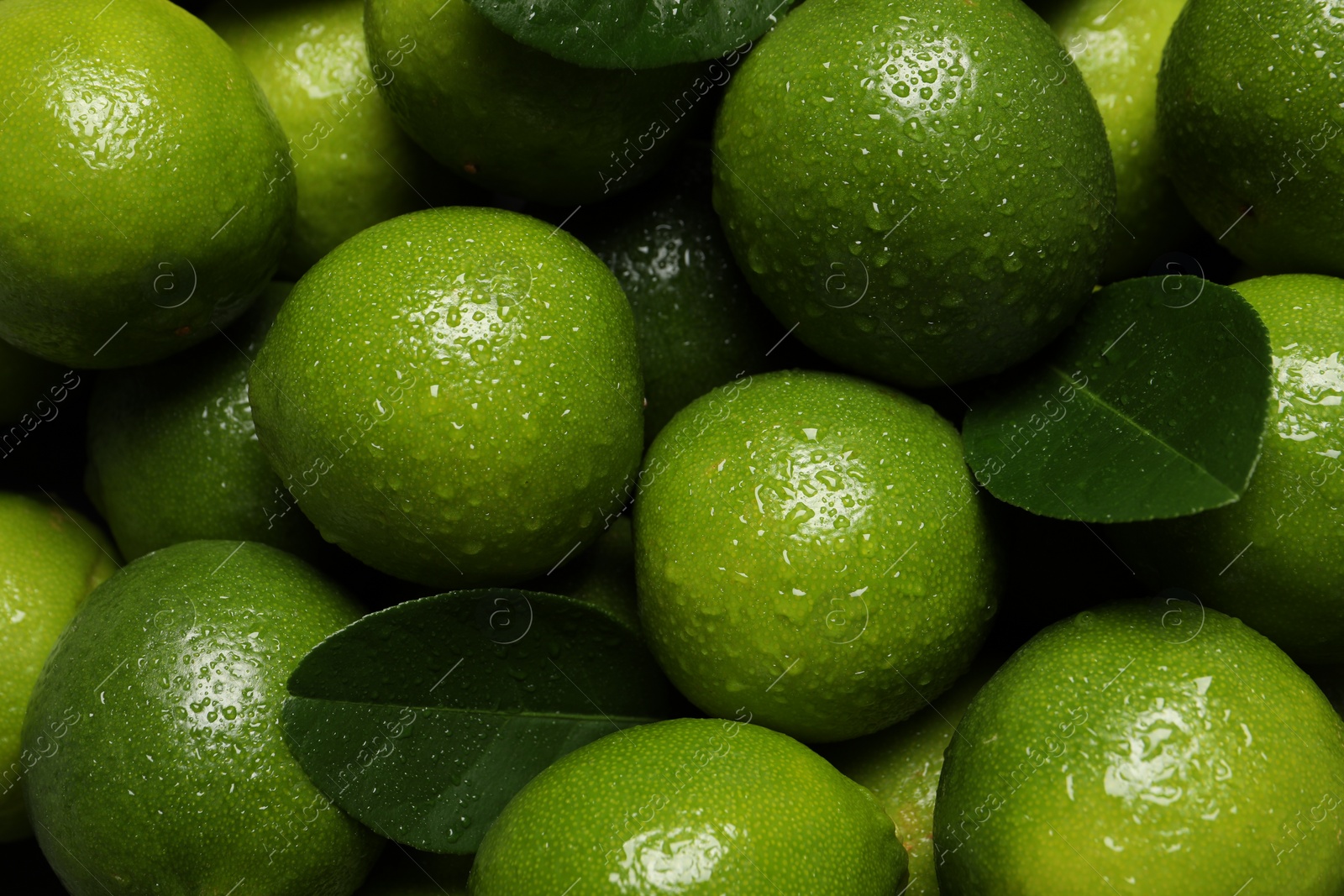 Photo of Fresh ripe limes and leaves with water drops as background, top view