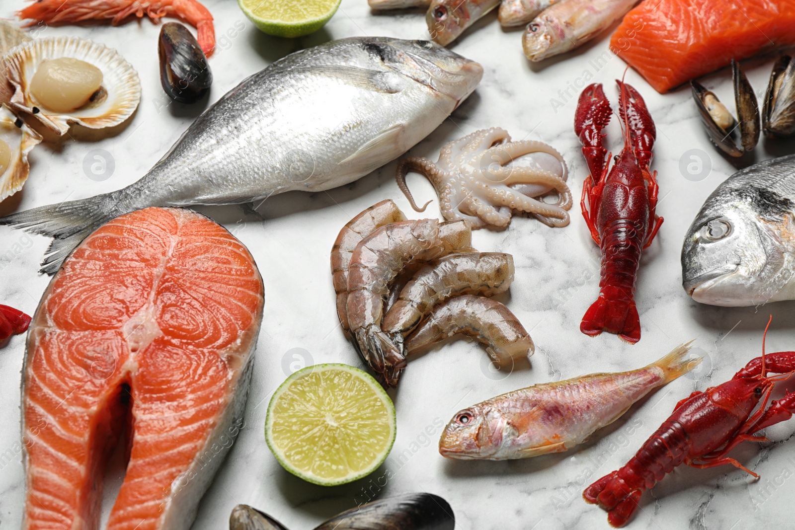 Photo of Fresh fish and different seafood on white marble table