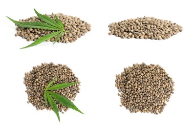 Image of Set with hemp seeds on white background