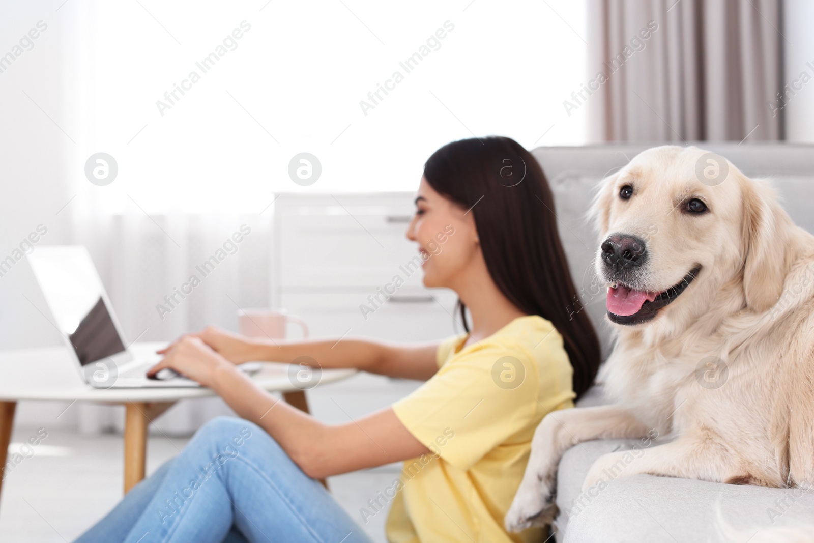 Photo of Young woman and her Golden Retriever dog in living room