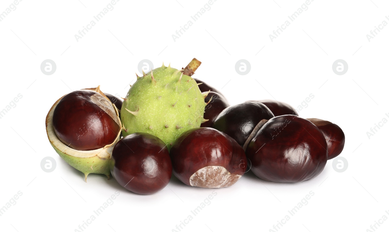 Photo of Pile of horse chestnuts isolated on white