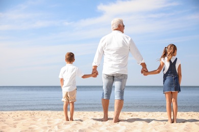Photo of Cute little children with grandfather spending time together on sea beach, back view