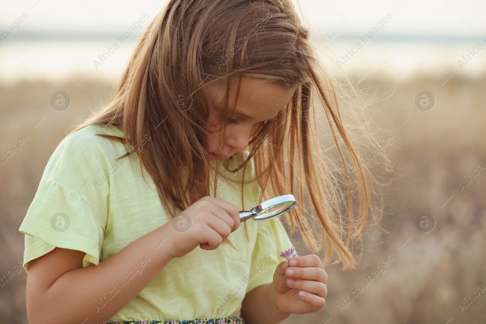 Photo of Cute little girl exploring plant through magnifying glass outdoors. Child spending time in nature