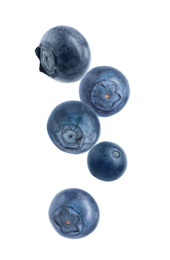 Many fresh ripe blueberries falling on white background