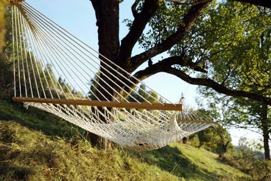 Photo of Comfortable net hammock outdoors on sunny day