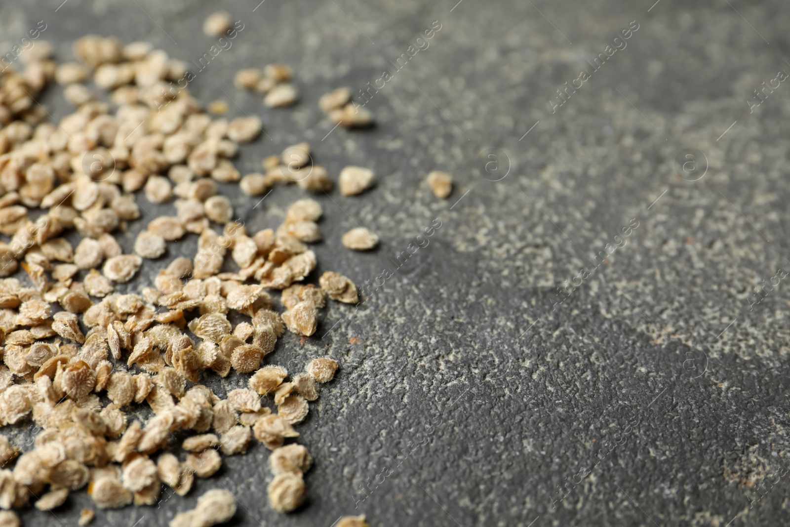 Photo of Raw tomato seeds on grey background, closeup with space for text. Vegetable planting