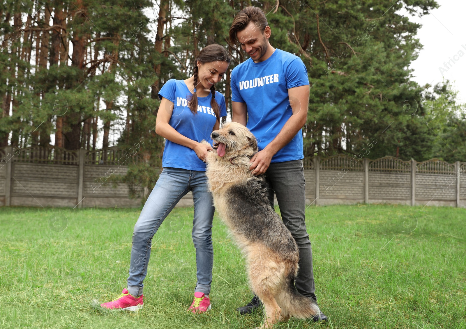 Photo of Volunteers with homeless dog at animal shelter outdoors