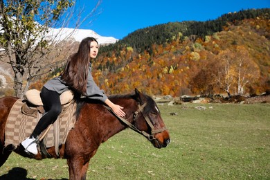 Young woman riding horse in mountains on sunny day. Beautiful pet