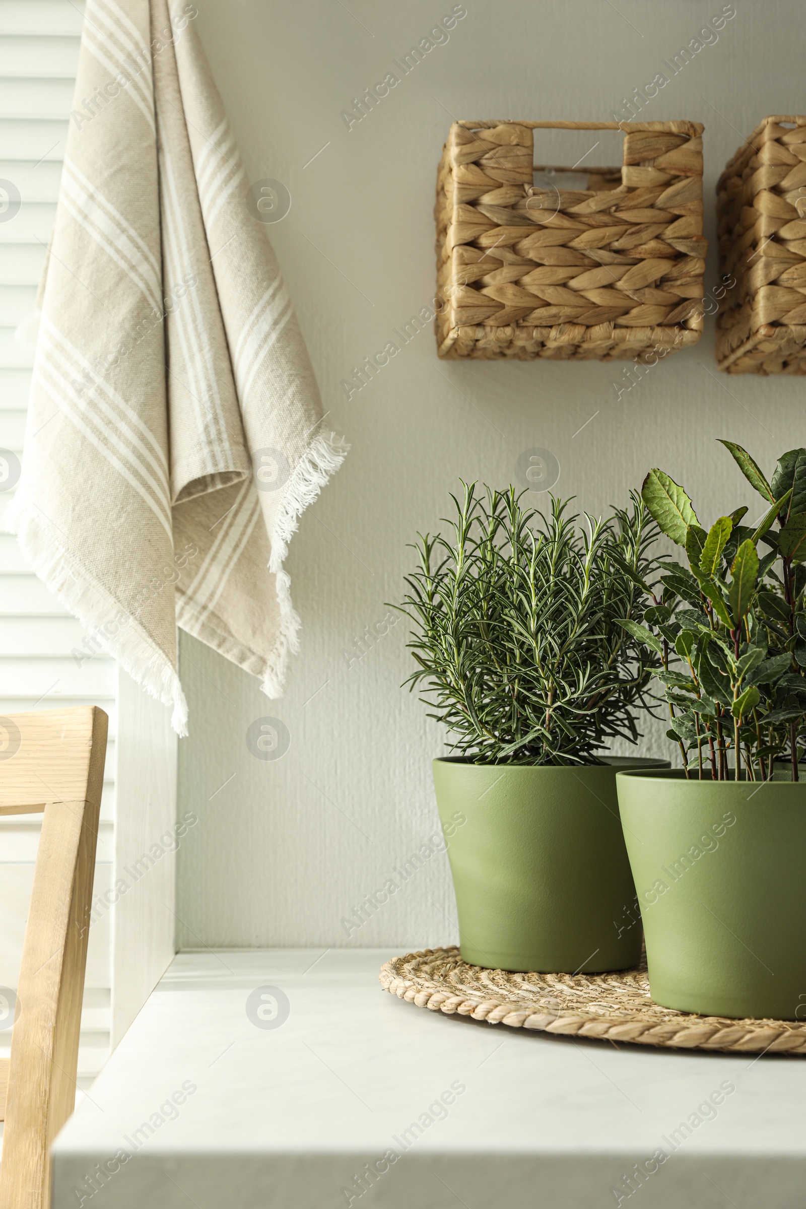 Photo of Different aromatic potted herbs on countertop in kitchen