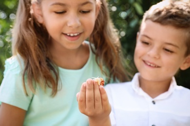 Photo of Kids playing with cute snail outdoors, focus on hand. Children spending time in nature
