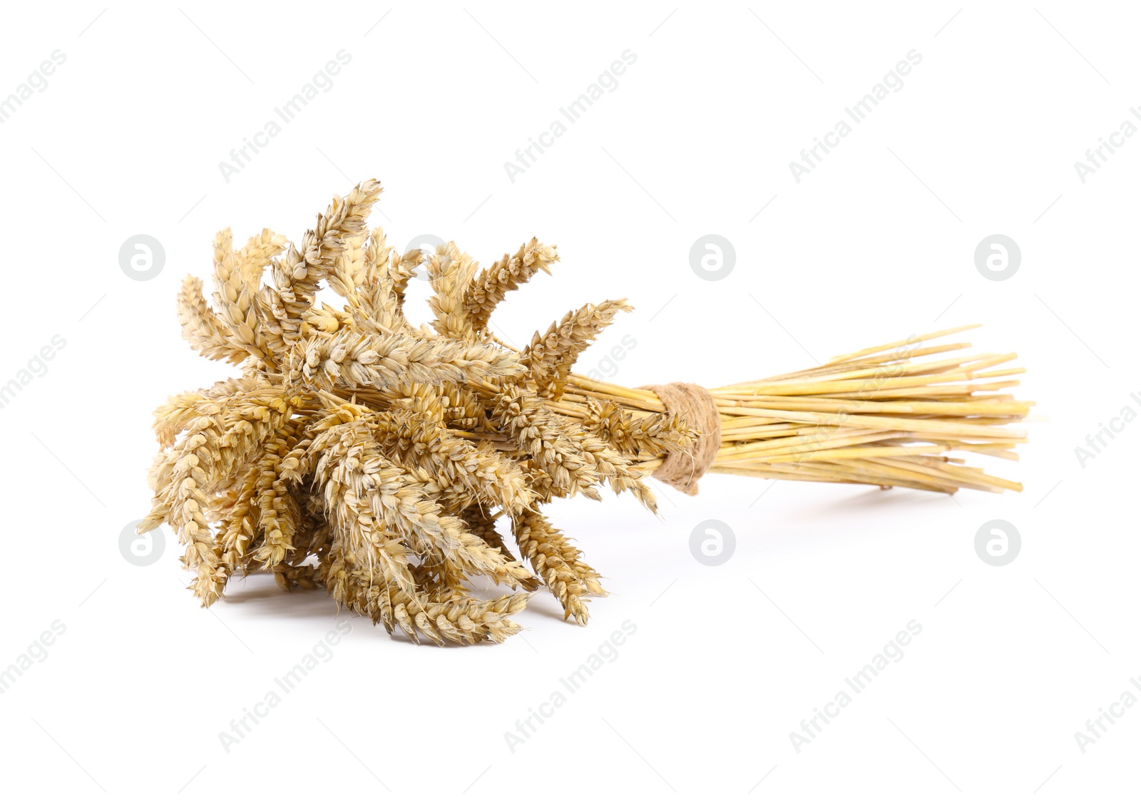 Photo of Bunch of dried wheat isolated on white