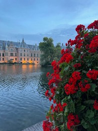 Beautiful view of red flowers and buildings on riverside in city