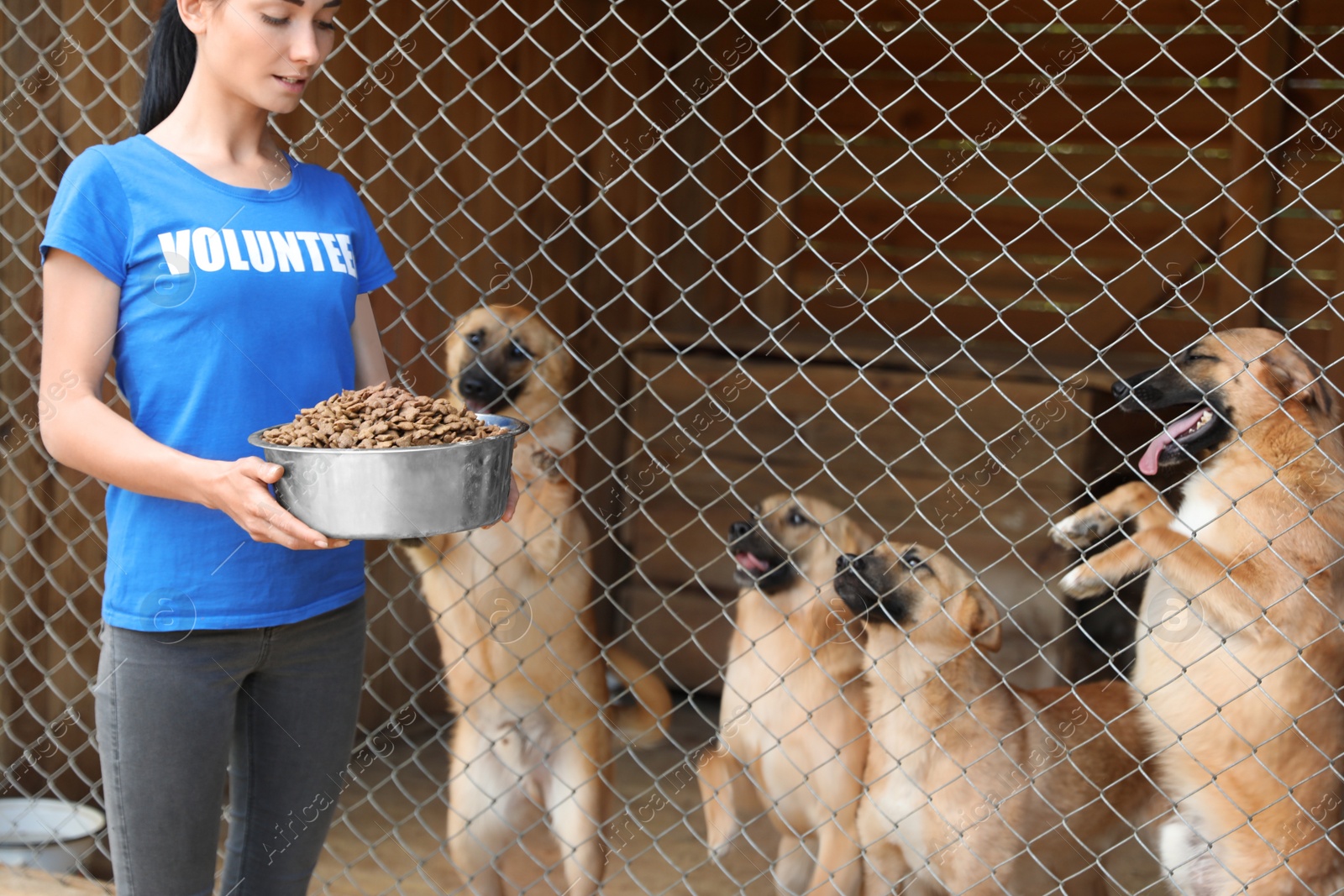 Photo of Woman holding bowl of food near cage with homeless dogs in animal shelter. Volunteering concept