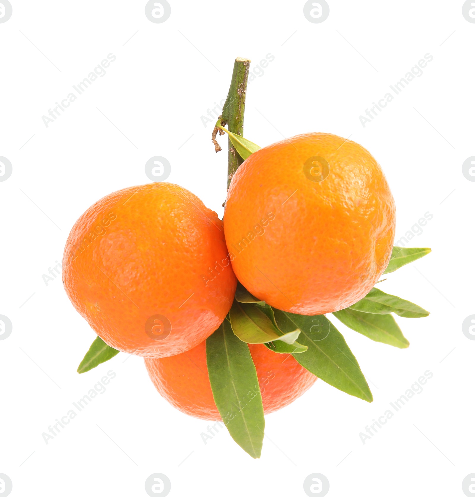 Photo of Tasty ripe tangerines with leaves on white background