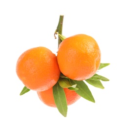 Tasty ripe tangerines with leaves on white background