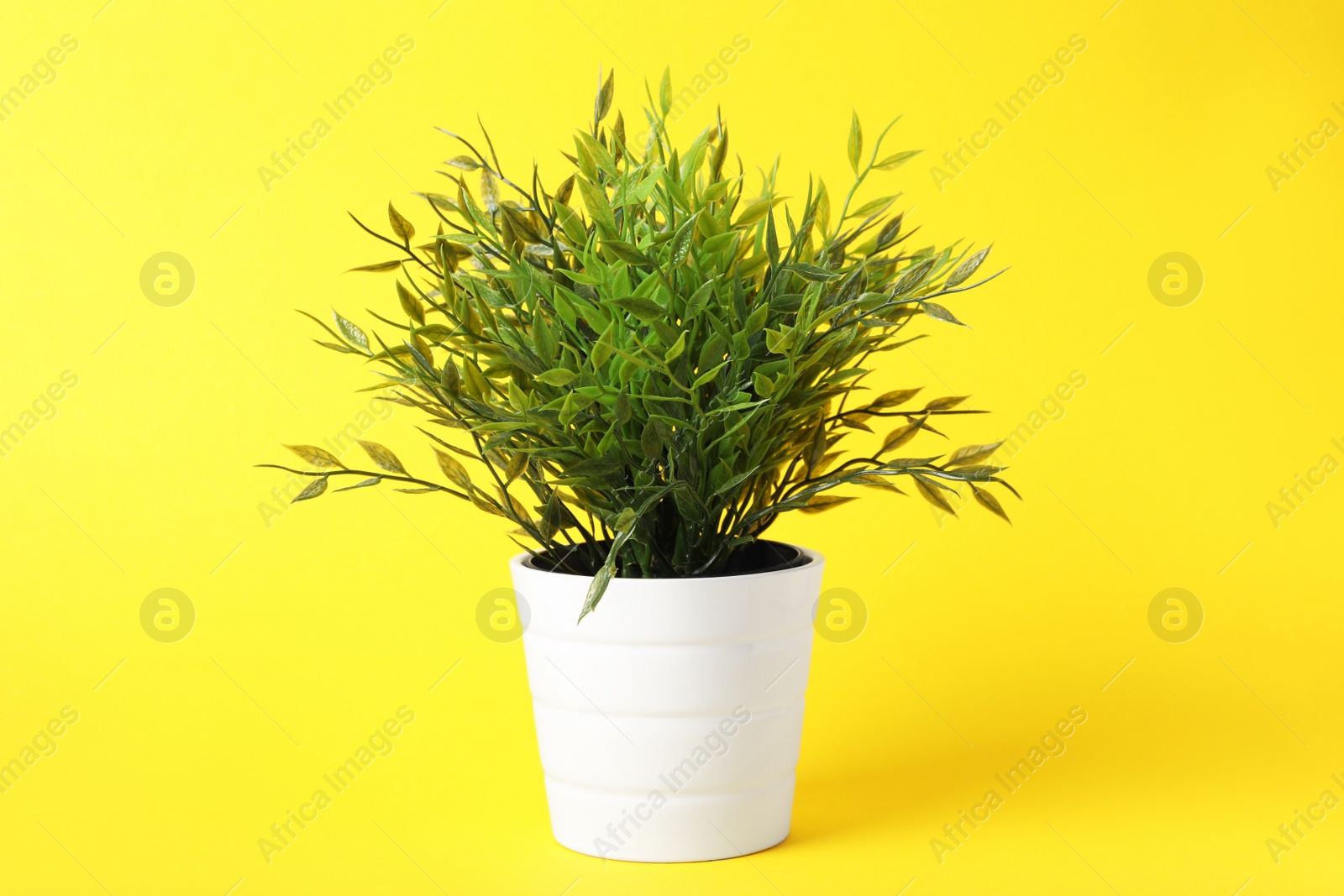 Photo of Beautiful artificial plant in flower pot on yellow background