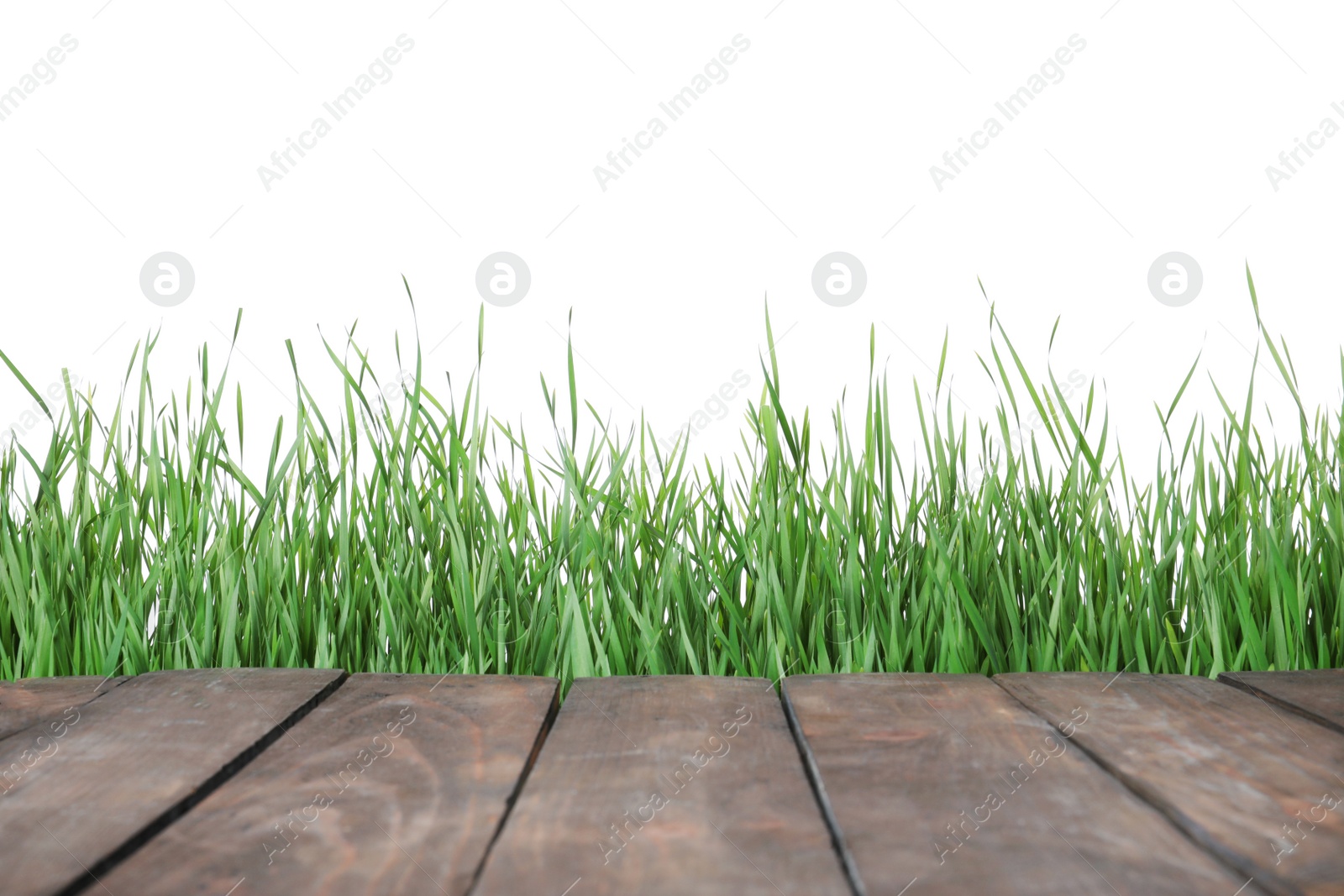 Photo of Wooden deck and green grass isolated on white