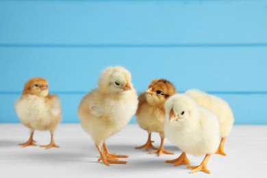 Photo of Many cute chicks on white wooden table, closeup with space for text. Baby animals