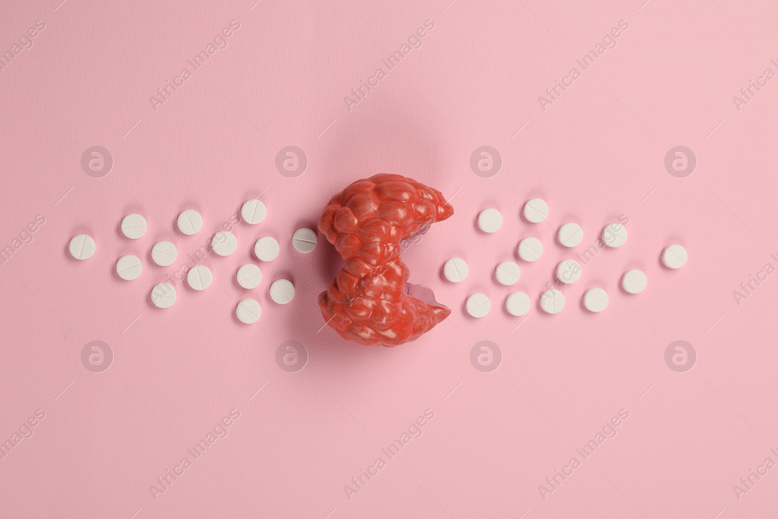 Photo of Endocrinology, Pills and model of thyroid gland on pink background, top view