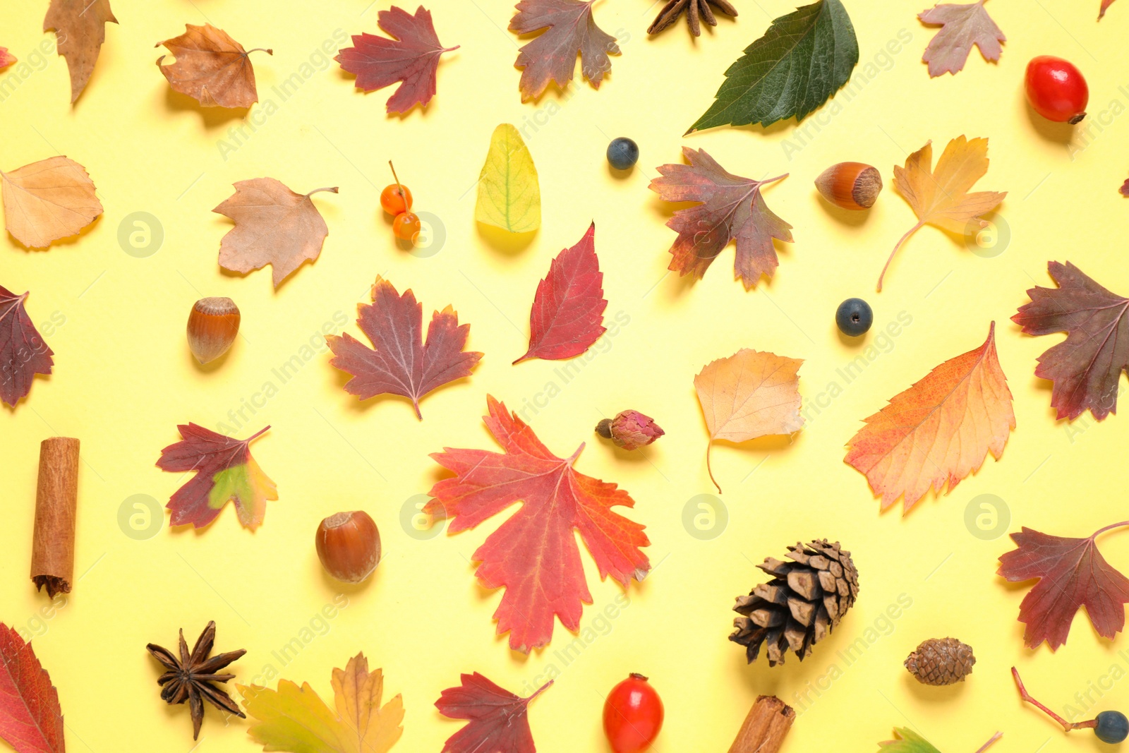 Photo of Beautiful composition with autumn leaves on yellow background, flat lay