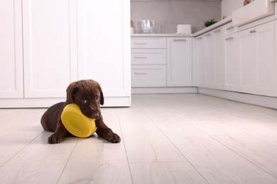 Cute chocolate Labrador Retriever puppy gnawing feeding bowl on floor in kitchen, space for text. Lovely pet