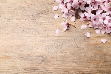 Beautiful sakura tree blossoms on wooden background, flat lay. Space for text
