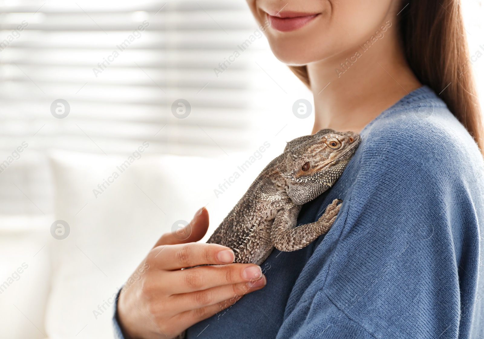 Photo of Young woman with bearded lizard at home, closeup. Exotic pet