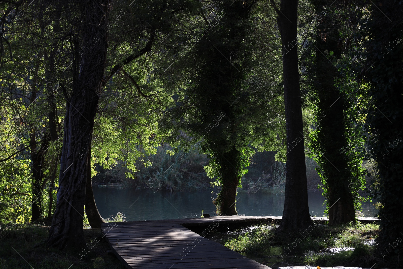 Photo of Picturesque view of beautiful river and pathway outdoors