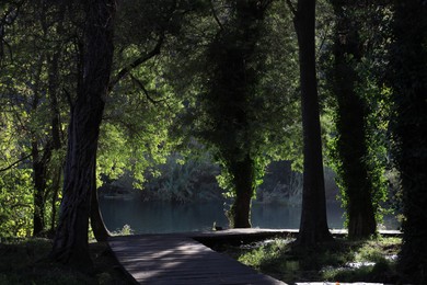 Photo of Picturesque view of beautiful river and pathway outdoors
