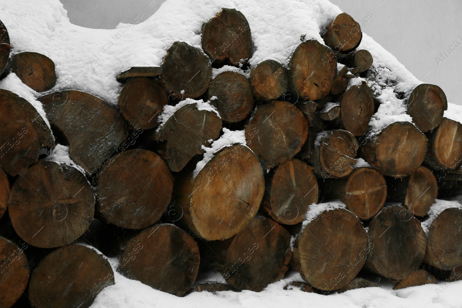 Photo of Stacked wood in winter outdoors, closeup view