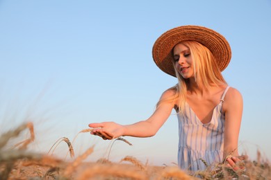 Photo of Woman in ripe wheat spikelets field. Space for text