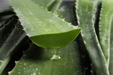 Photo of Fresh aloe juice dripping from leaf, closeup