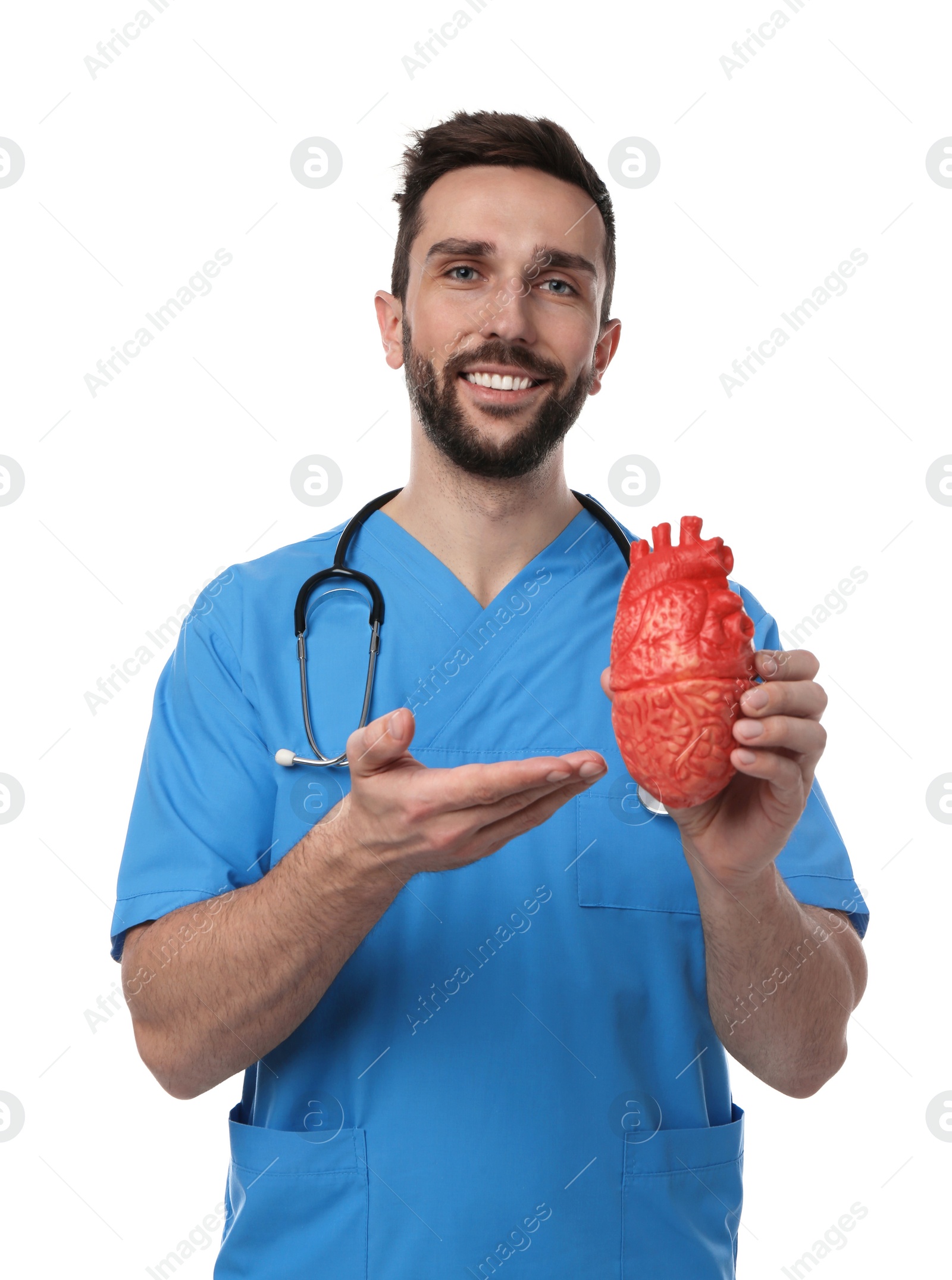 Photo of Doctor with stethoscope and model of heart on white background. Cardiology concept