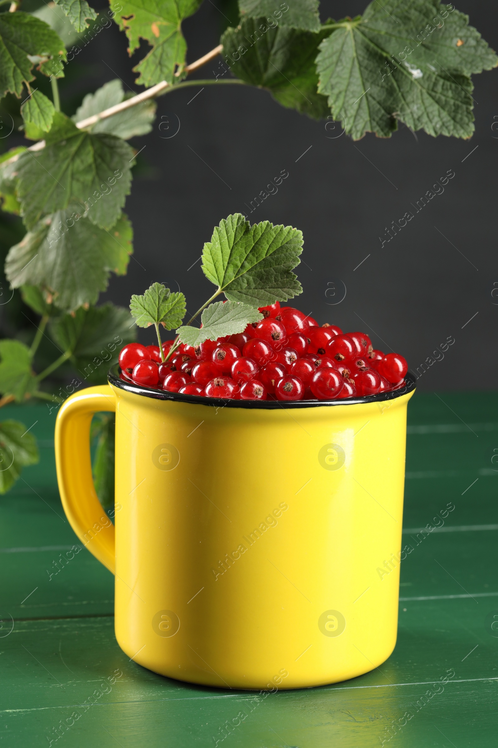 Photo of Ripe red currants and leaves in mug on green wooden table