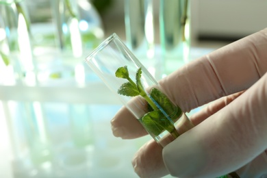 Photo of Lab assistant holding test tube with plant on blurred background, closeup. Biological chemistry