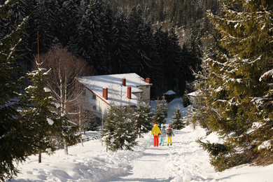 People walking near snowy forest on sunny day in winter