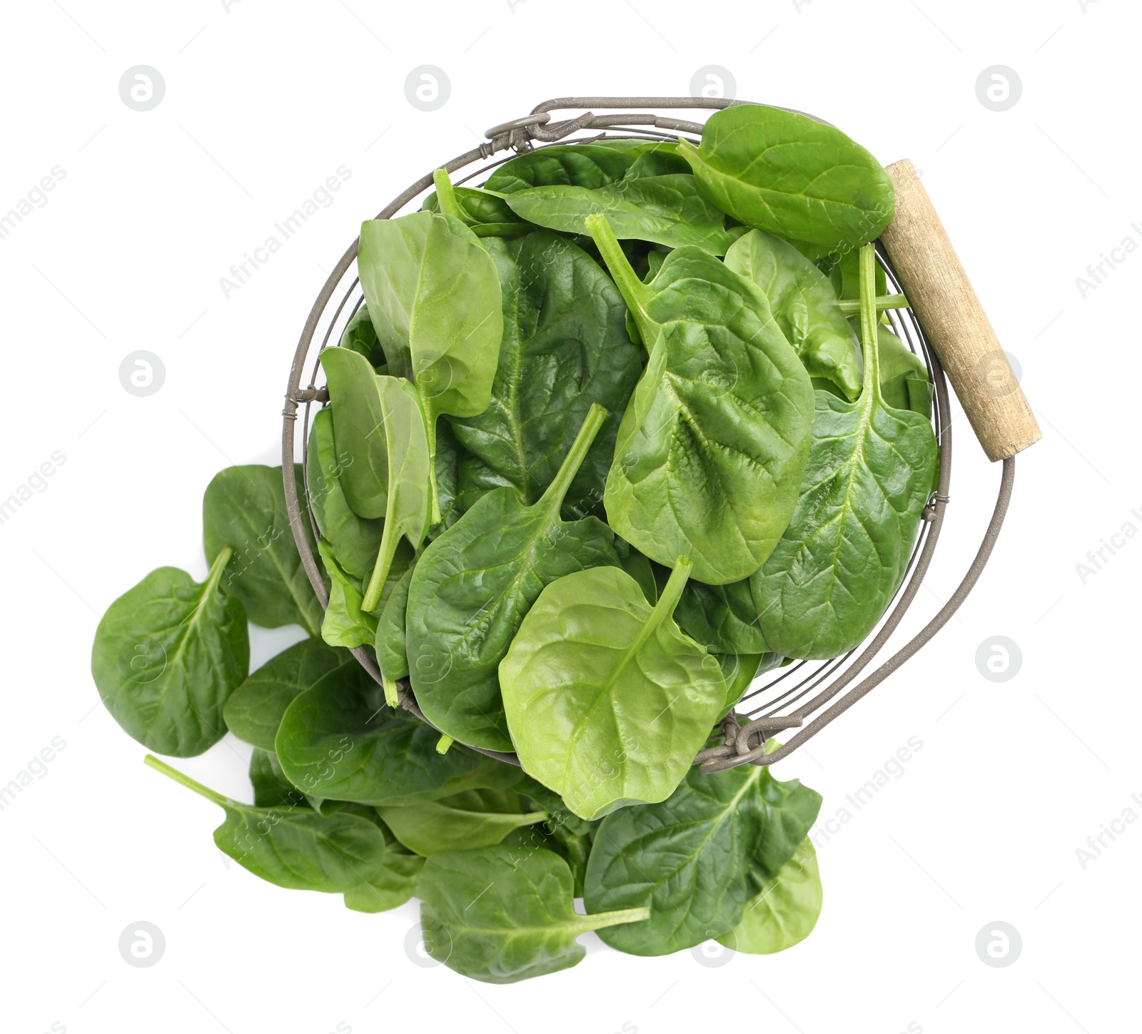 Photo of Basket and spinach leaves isolated on white, top view