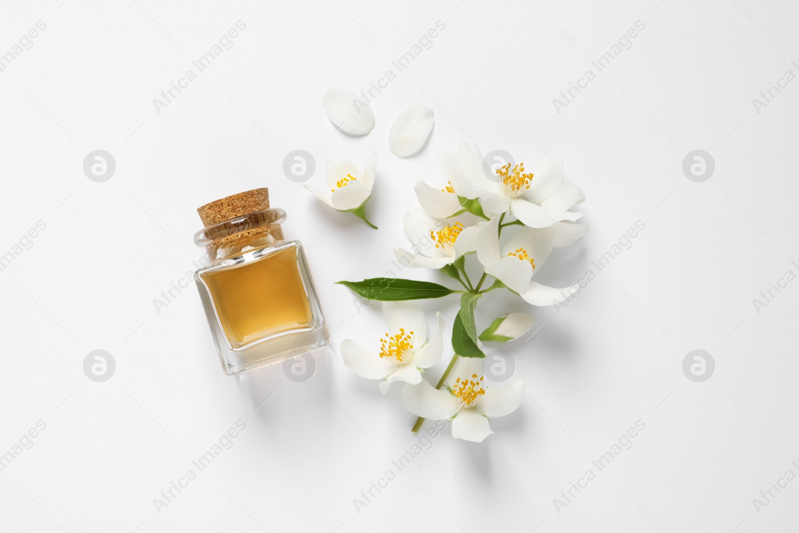 Photo of Jasmine essential and fresh flowers on white background, top view