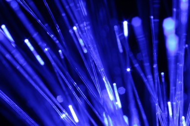 Photo of Optical fiber strands transmitting blue light on black background, macro view