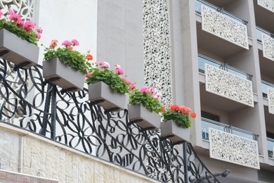 Photo of Exterior of building with balconies decorated with beautiful flowers, low angle view