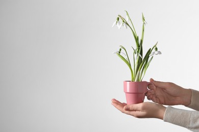 Photo of Woman holding pink cup with planted snowdrops on light background, closeup. Space for text