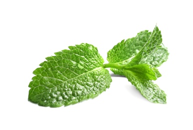 Fresh green mint leaves on white background