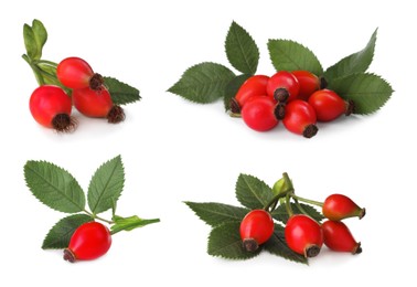 Image of Set with ripe rose hip berries on white background 