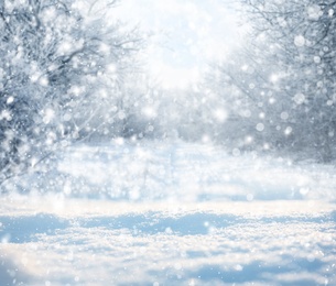 Image of Beautiful fluffy snow in forest. Winter season 