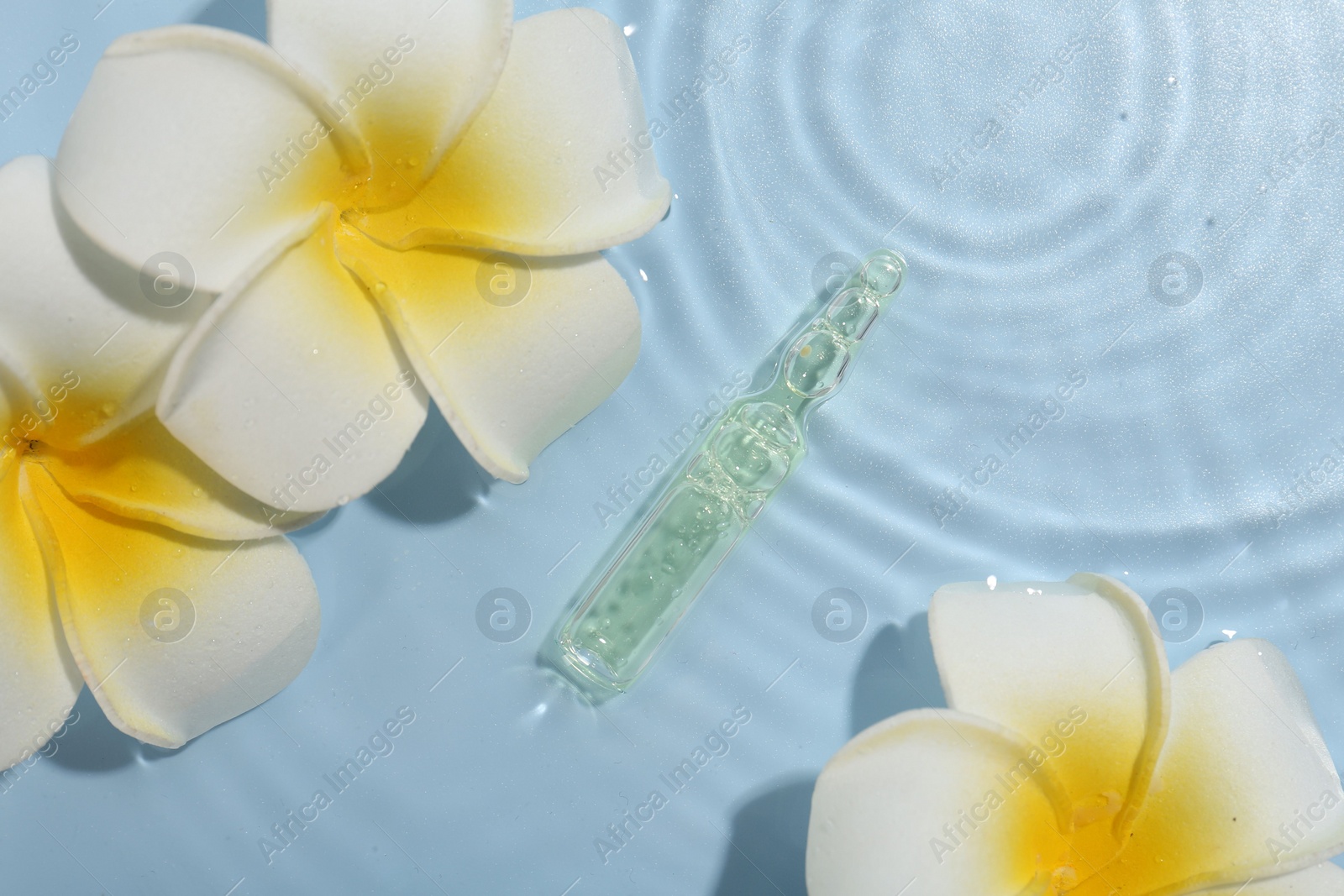 Photo of Skincare ampoule and beautiful plumeria flowers in water on light blue background, flat lay