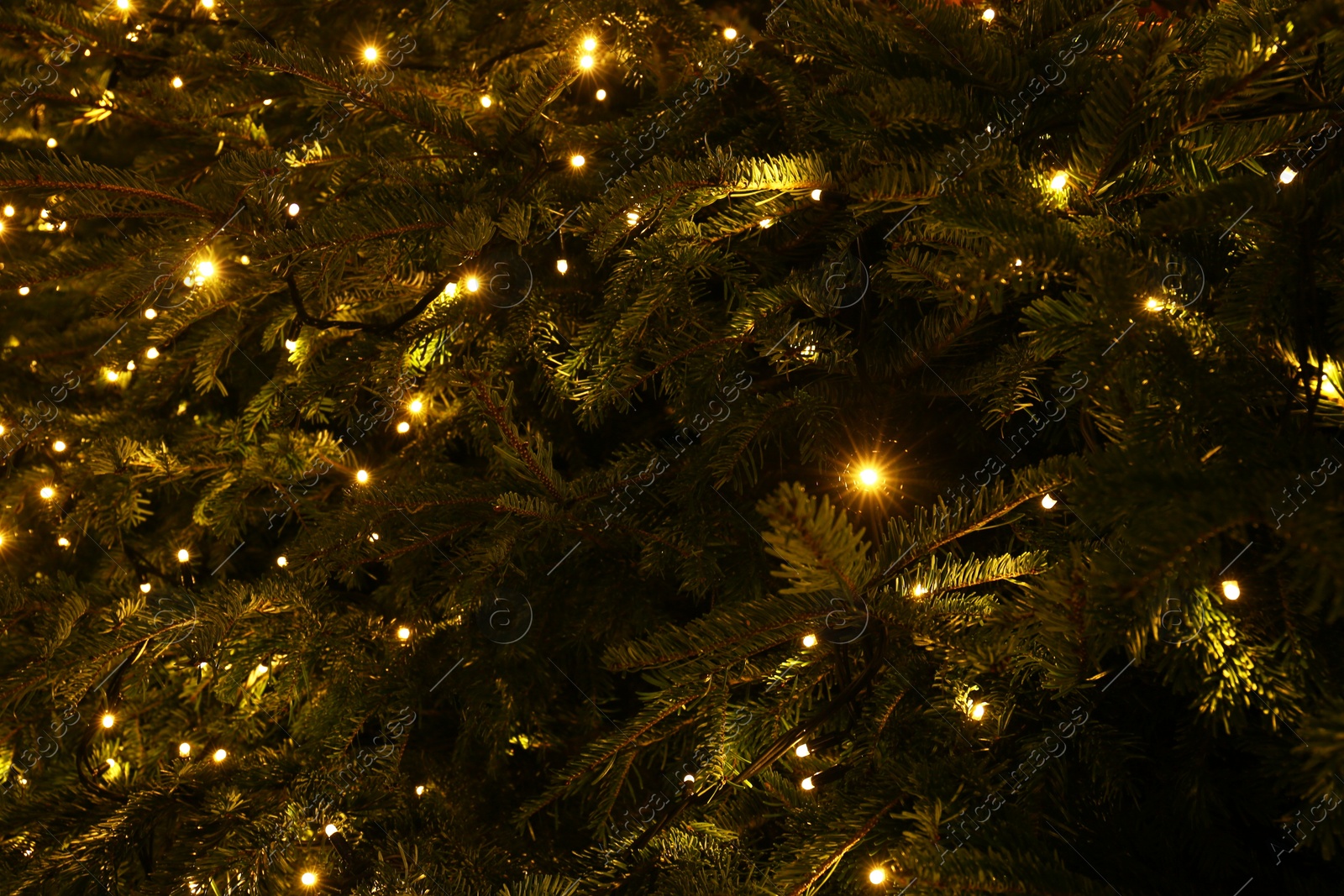 Photo of Fir tree decorated with beautiful Christmas lights as background