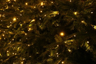 Photo of Fir tree decorated with beautiful Christmas lights as background