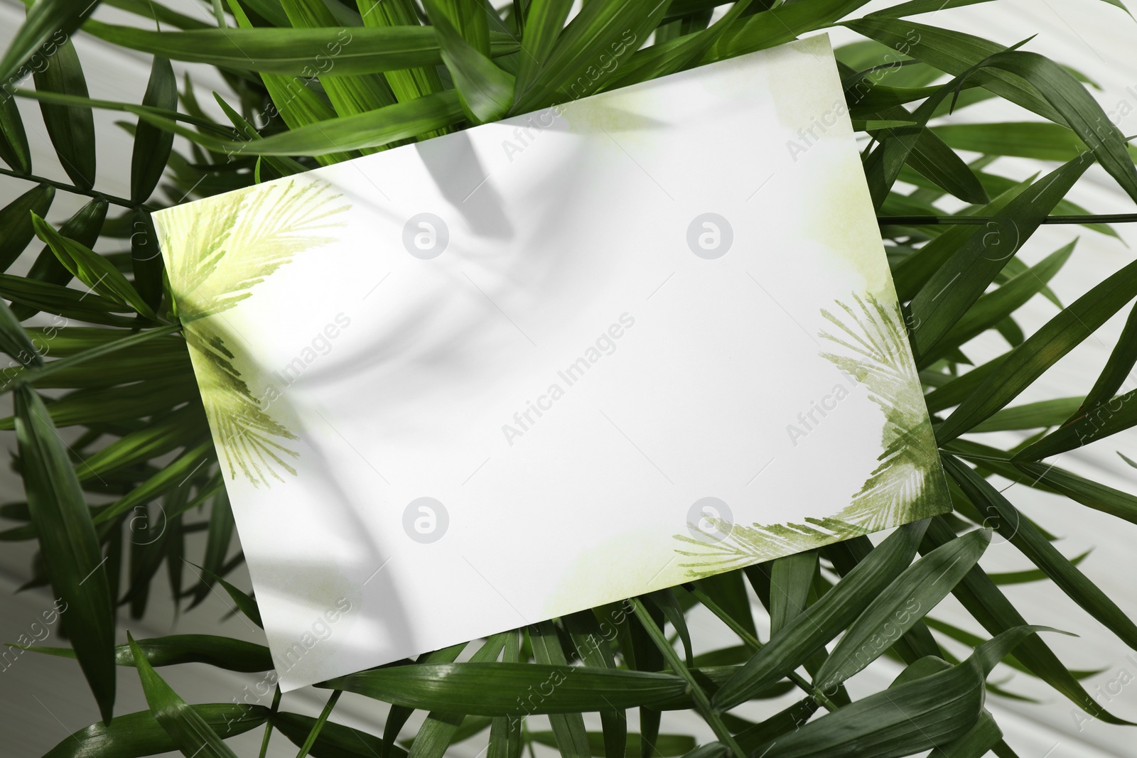 Photo of Blank invitation card and green leaves on white background, top view. Space for text